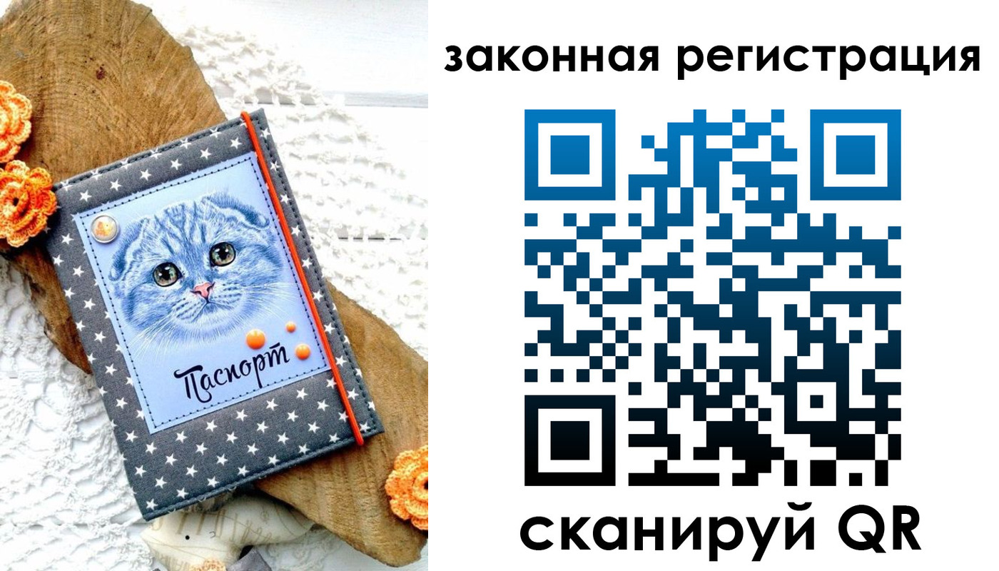 регистрация в Камышлове
